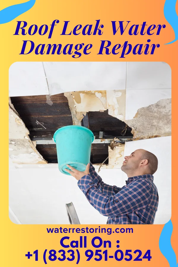 Roof Leak Water Damage Repair in Elizabeth, CO